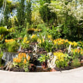 Can you buy plants at botanical garden?