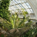 What is an indoor botanical garden called?