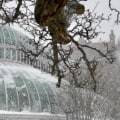 Are botanical gardens open in winter?