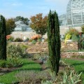 Who owns national botanic garden?