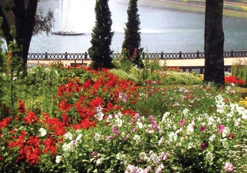 Why botanical gardens are established?